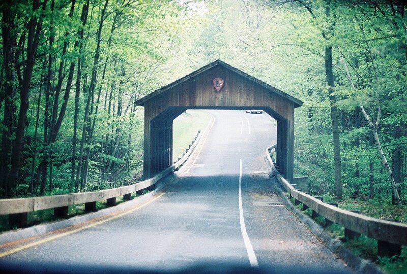 Covered bridge in forest