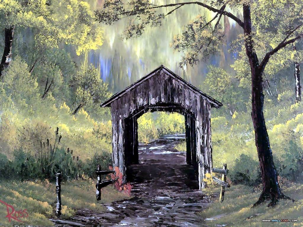 Covered bridge in forest