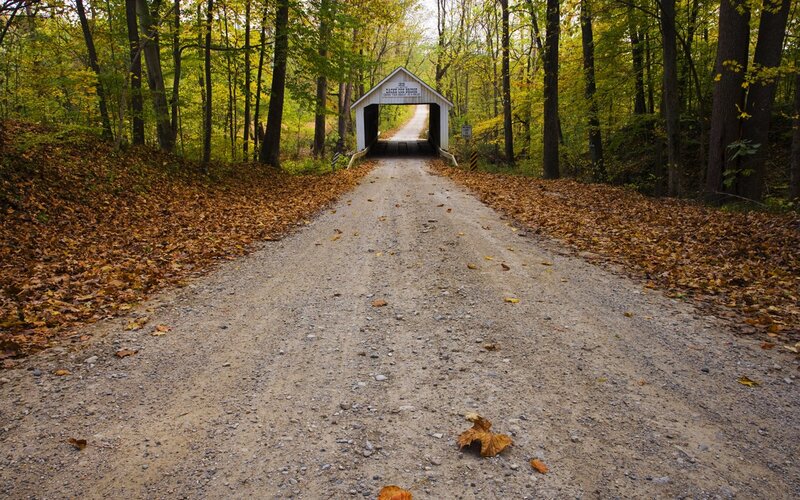 Covered Bridge in Forest — Brown