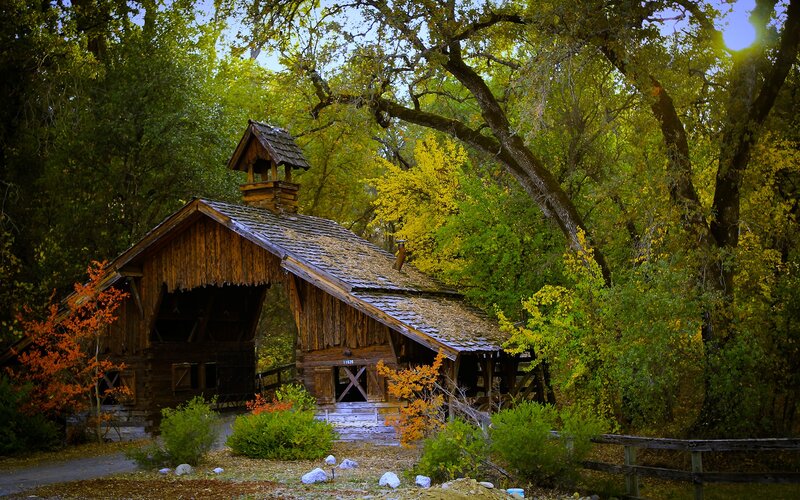 Covered Bridge in Forest — Green, Serene, Autumn