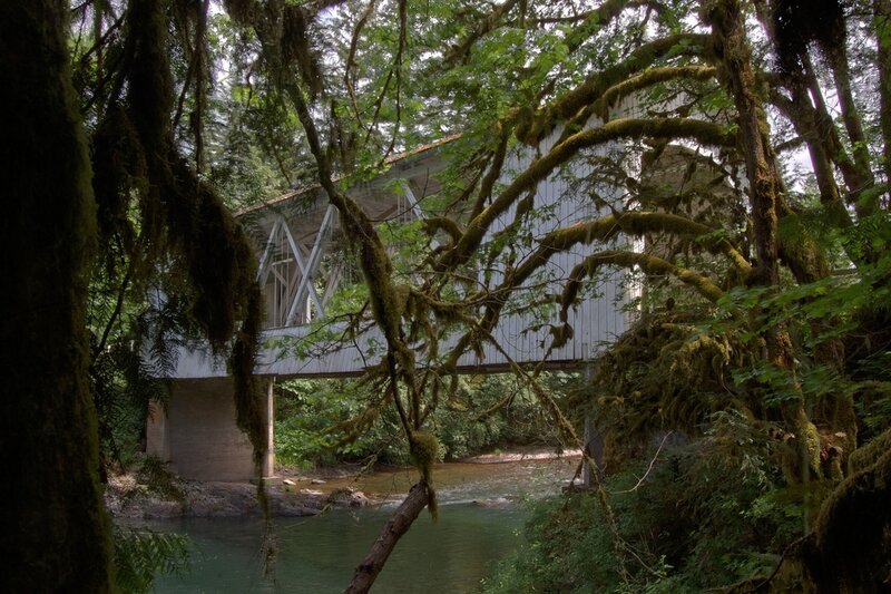 Covered Bridge in Forest — Green, Serene