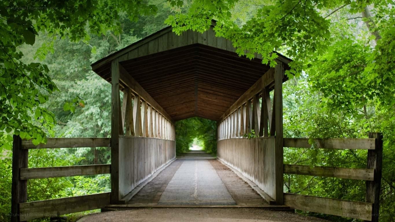 covered bridge in forest