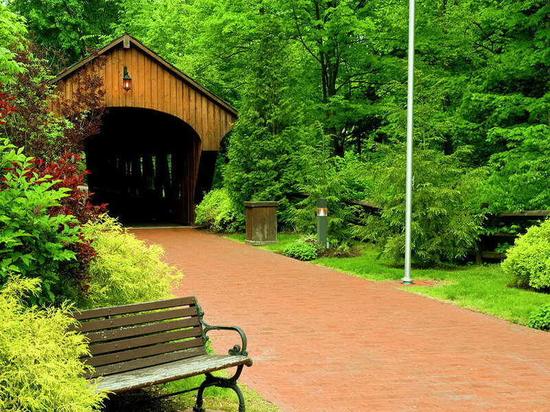 Covered Bridge in Park