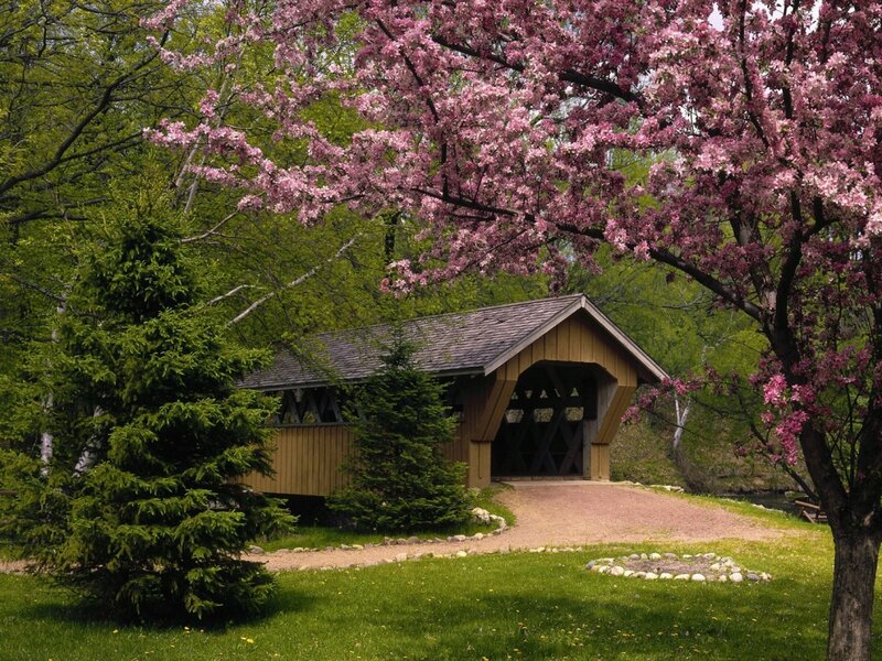 Covered Bridge in Spring — Green