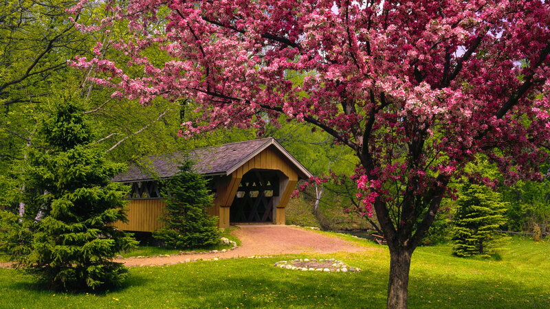 Covered Bridge in Spring — Pink, Serene, Photograph
