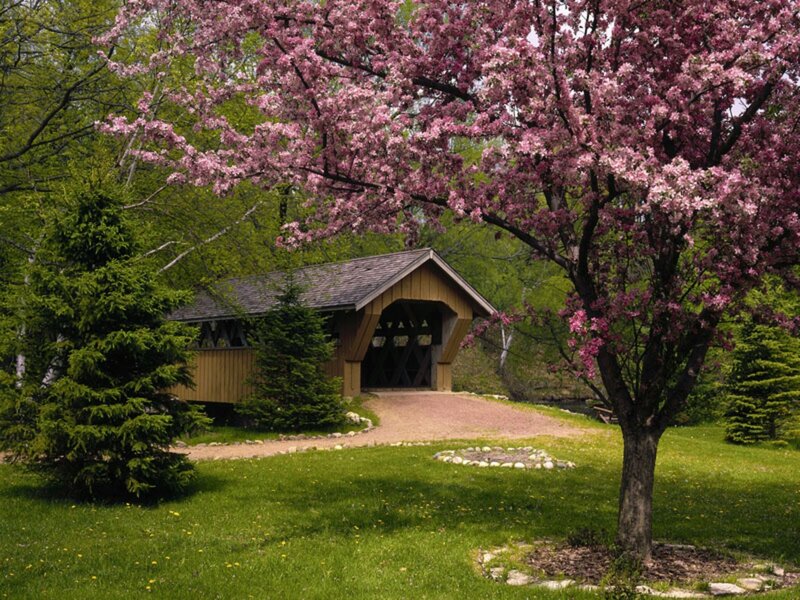 Covered Bridge in Spring