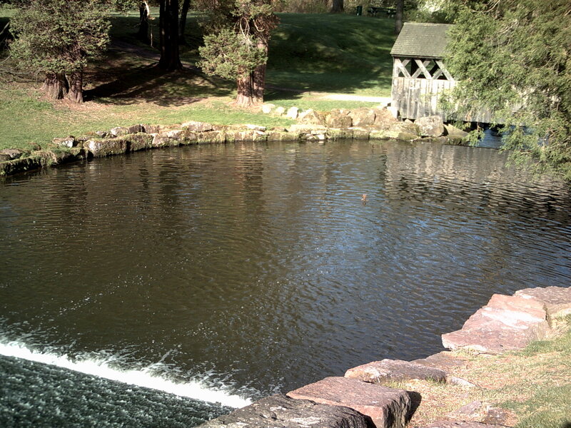 Covered bridge over pond
