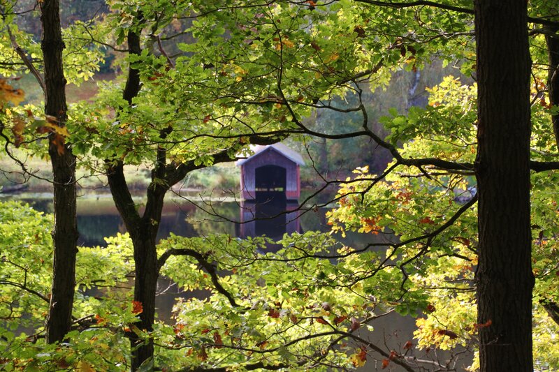Covered Bridge over Pond — Green