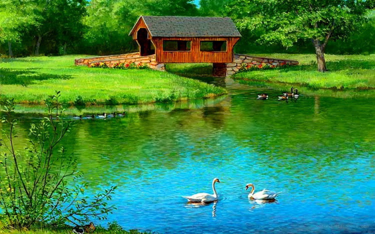 Covered bridge over pond