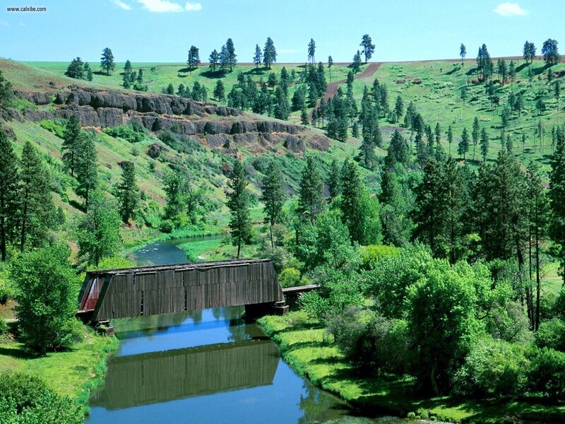 Covered bridge over river in green valley