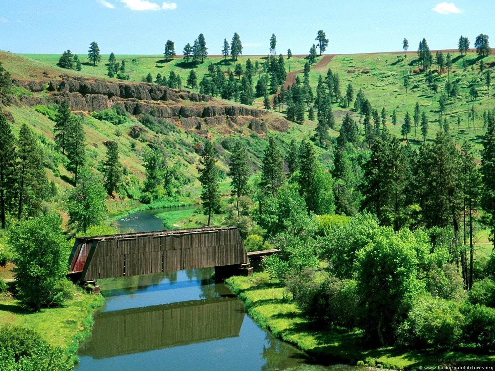 Covered bridge over river in Oregon