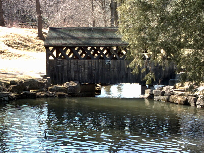 covered bridge over stream