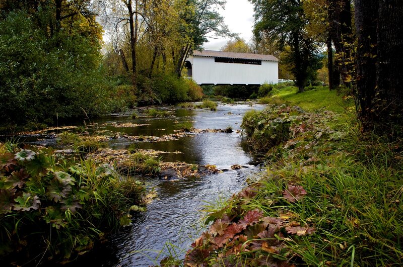 Covered Bridge over Stream — Green