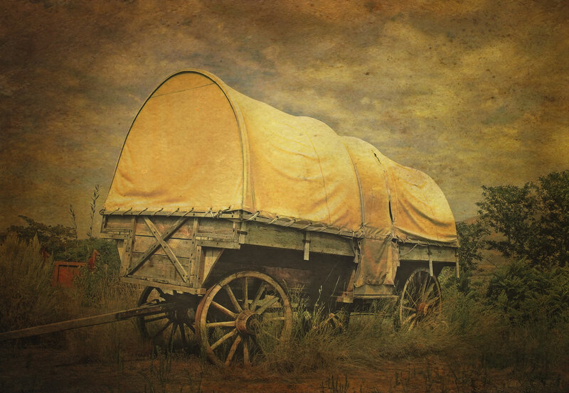 Covered Wagon in Field