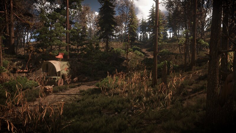 Covered Wagon in Forest