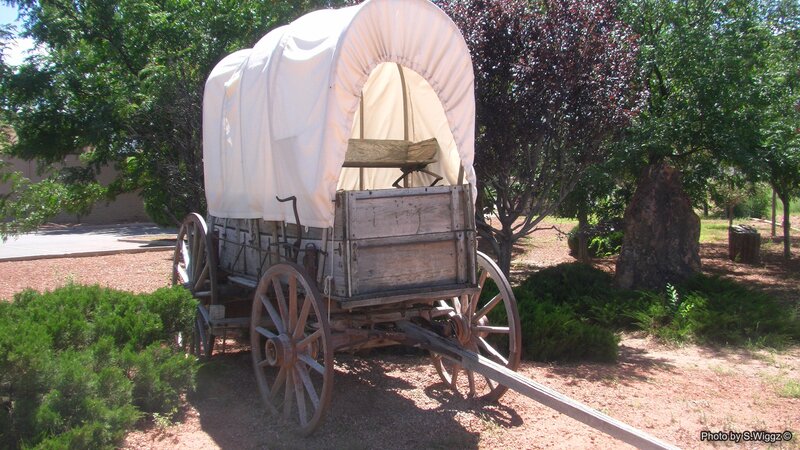 Covered Wagon in Garden