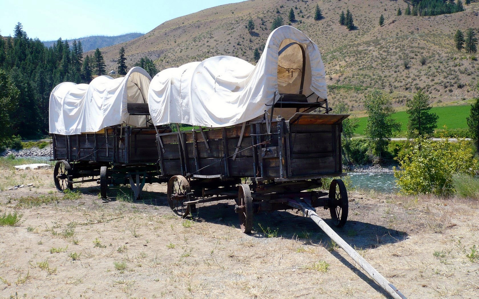 covered wagons by a river