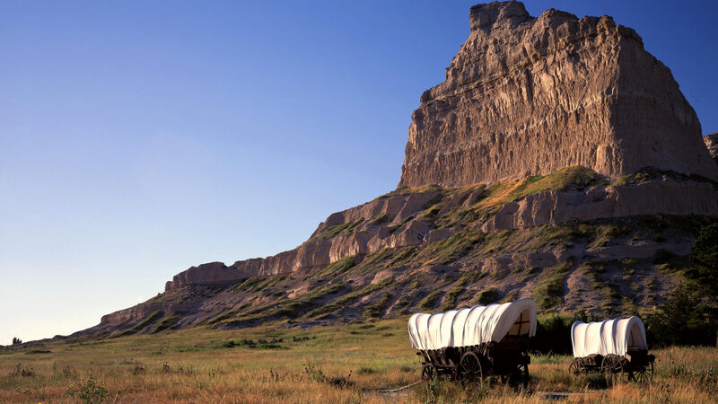 Covered Wagons in Field