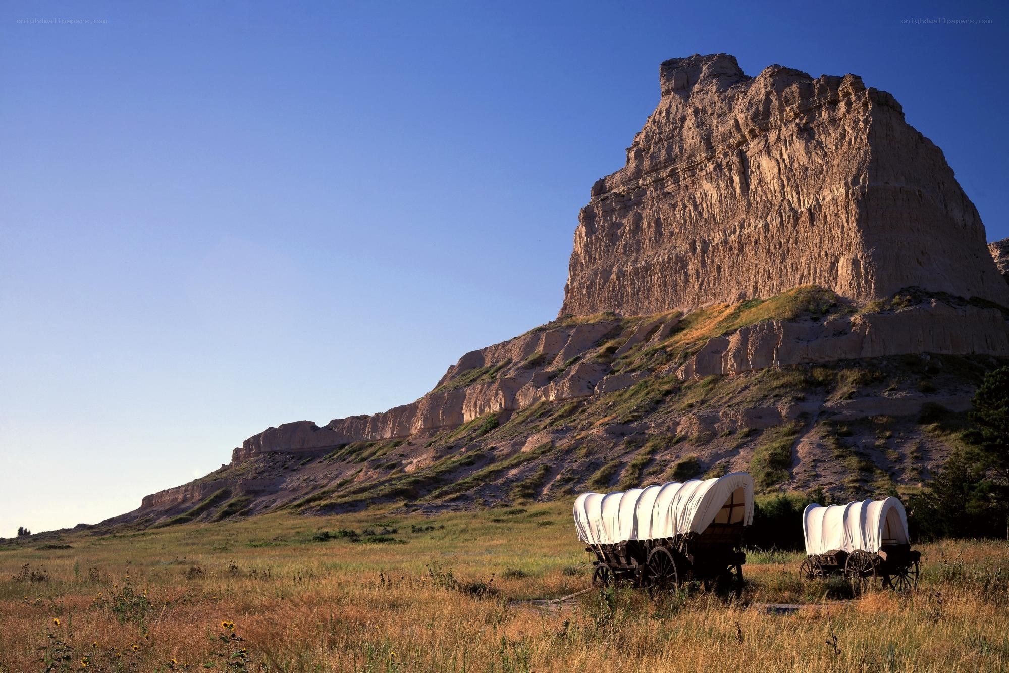 Covered wagons in prairie landscape