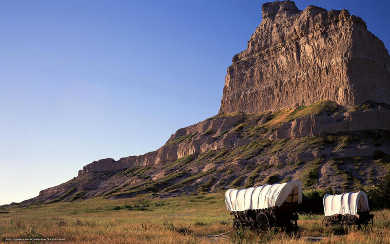 Covered wagons in prairie