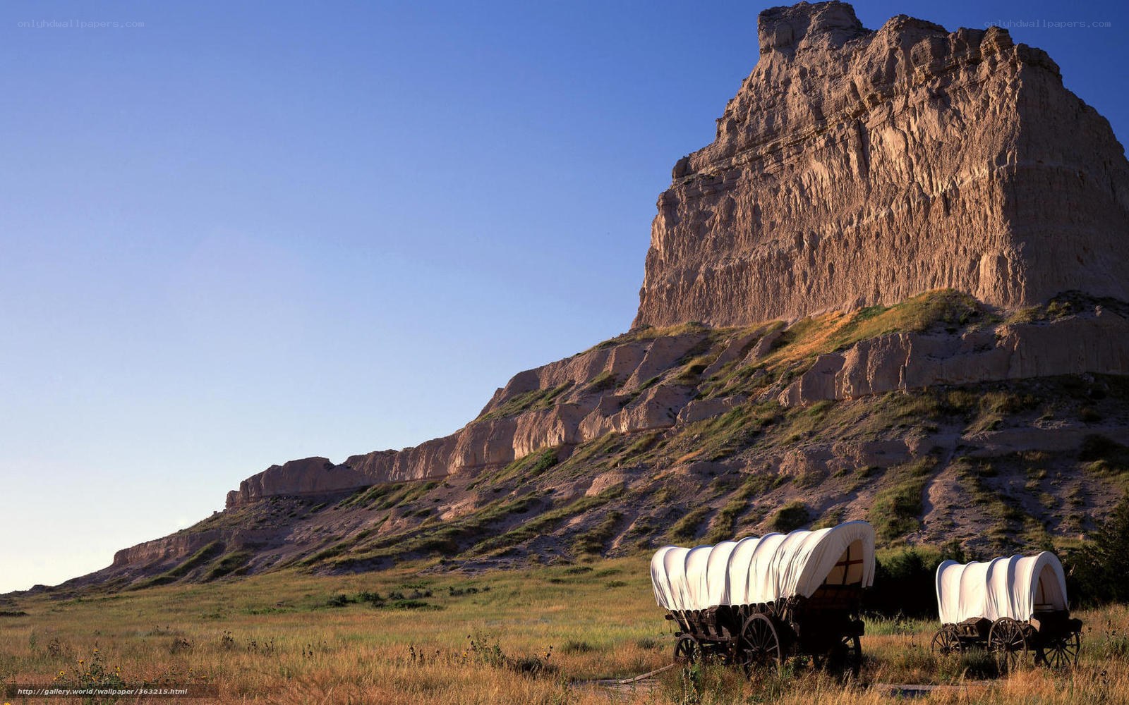 Covered wagons in prairie