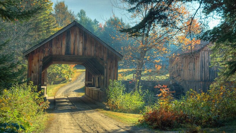 Covered Wooden Bridge — Brown, Serene, Autumn, Photograph, Forest