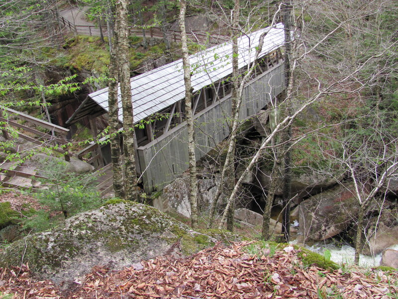 Covered Wooden Bridge — Green, Natural