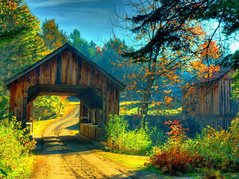 Covered Wooden Bridge — Green, Serene, Autumn, Photograph