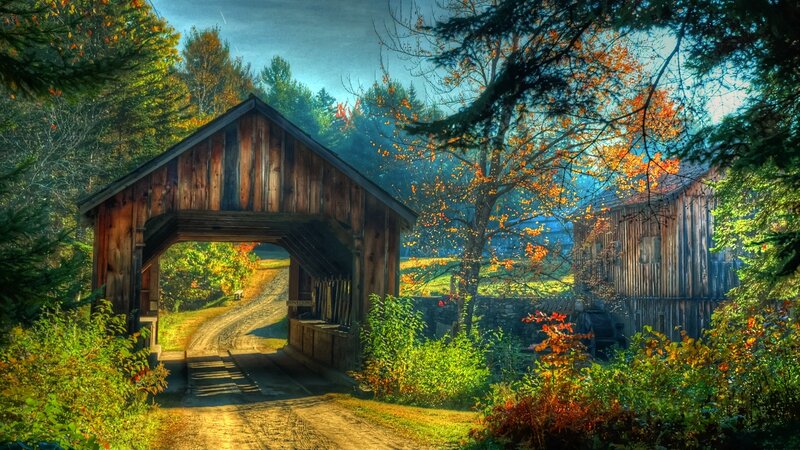 Covered Wooden Bridge — Green, Serene, Autumn
