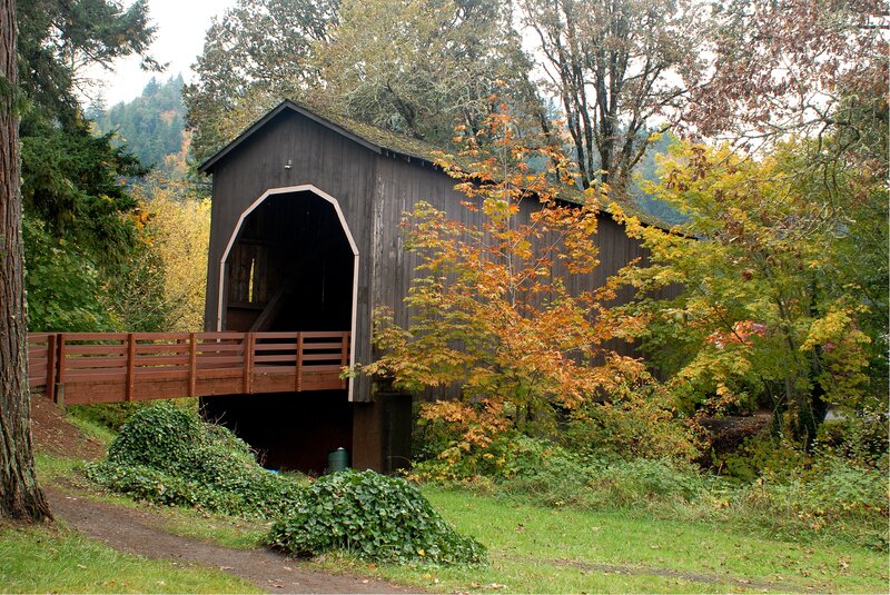 Covered Wooden Bridge — Green