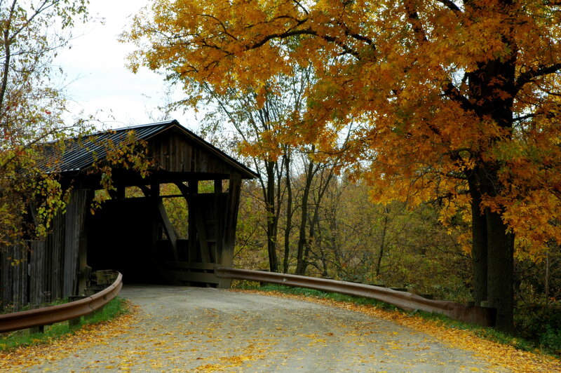 Covered Wooden Bridge — Yellow, Serene, Autumn, Photograph