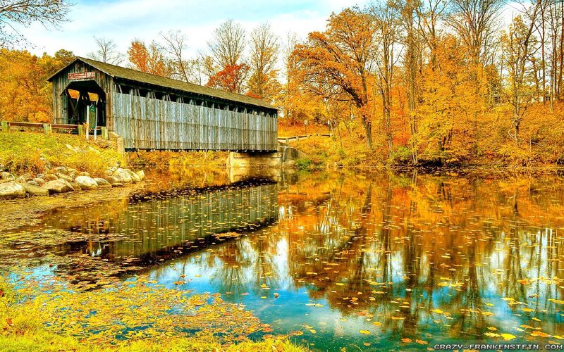 Covered Wooden Bridge — Yellow, Serene, Autumn