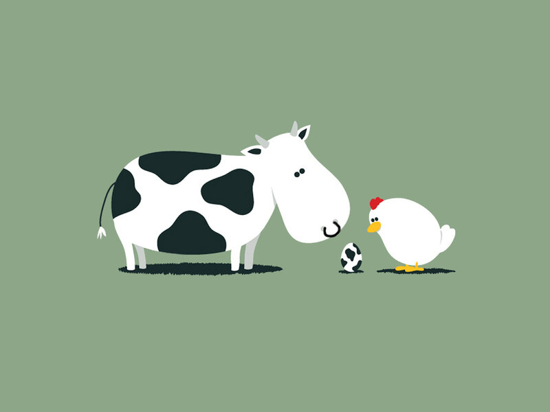 Cow and chicken with egg