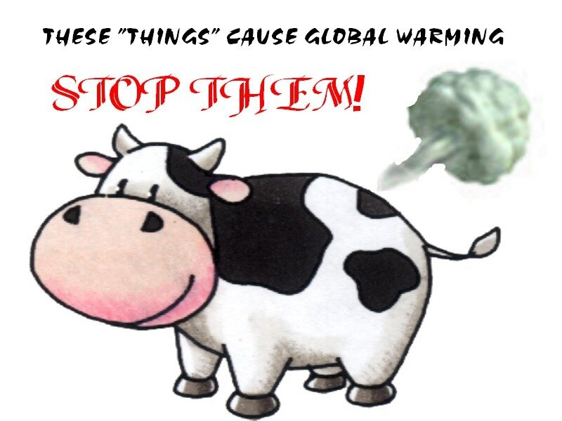 Cow and global warming
