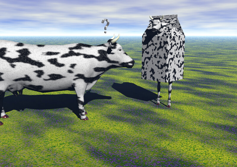 cow and milk carton in field