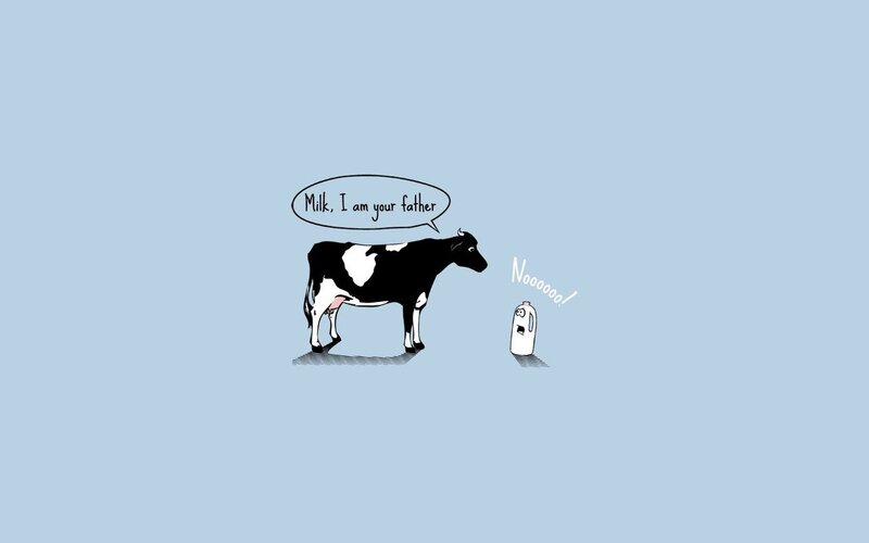 Cow and milk carton joke