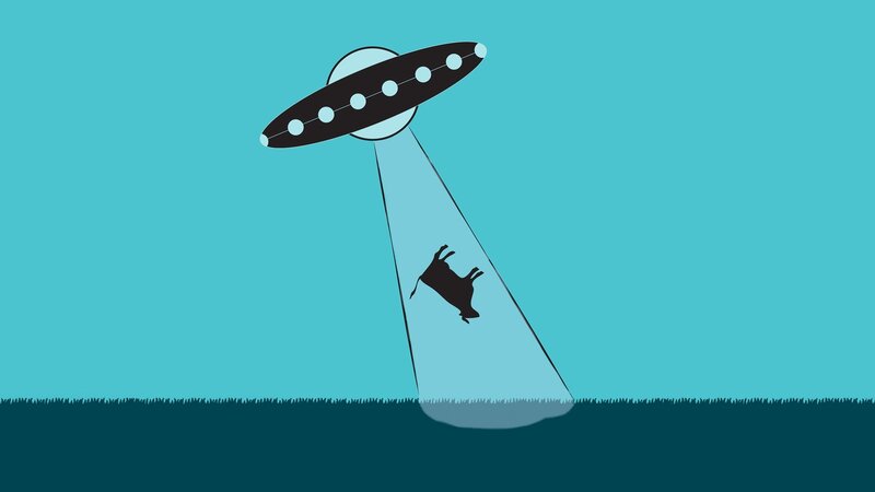 Cow Being Abducted