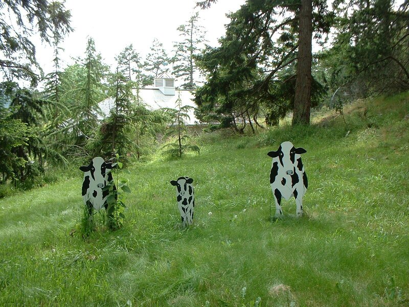 Cow cutouts in a grassy field