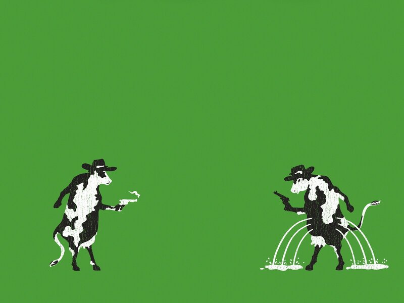 Cow duel on green