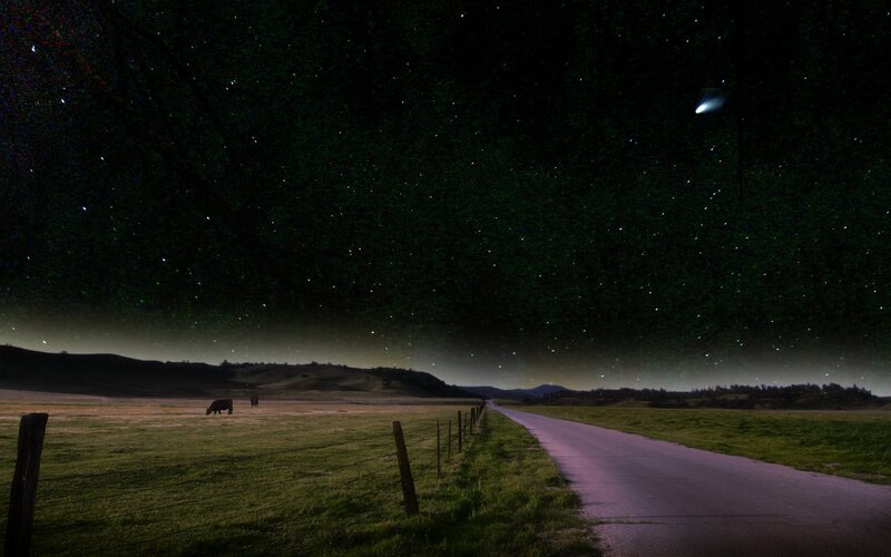 Cow Grazing at Night
