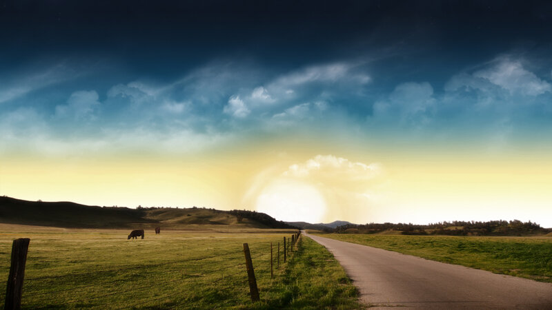 Cow Grazing in Field — Green, Dramatic
