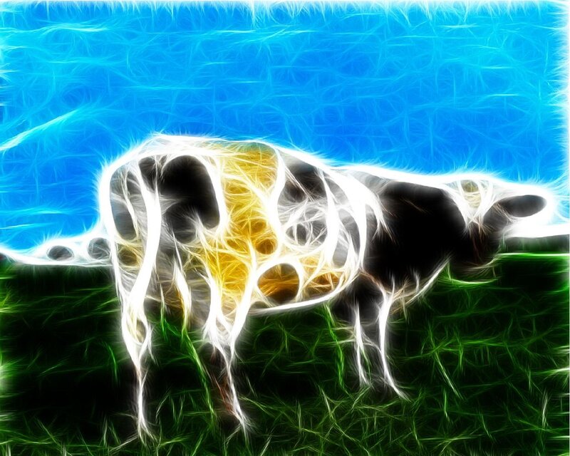 Cow in a Field — Blue