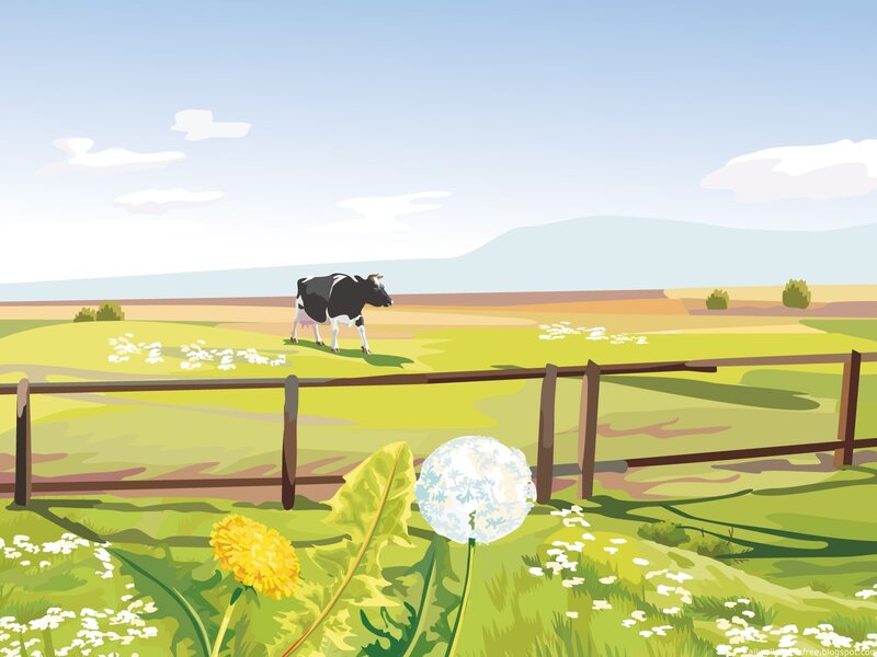 Cow in a Field — Green, Serene, Afternoon, Illustration