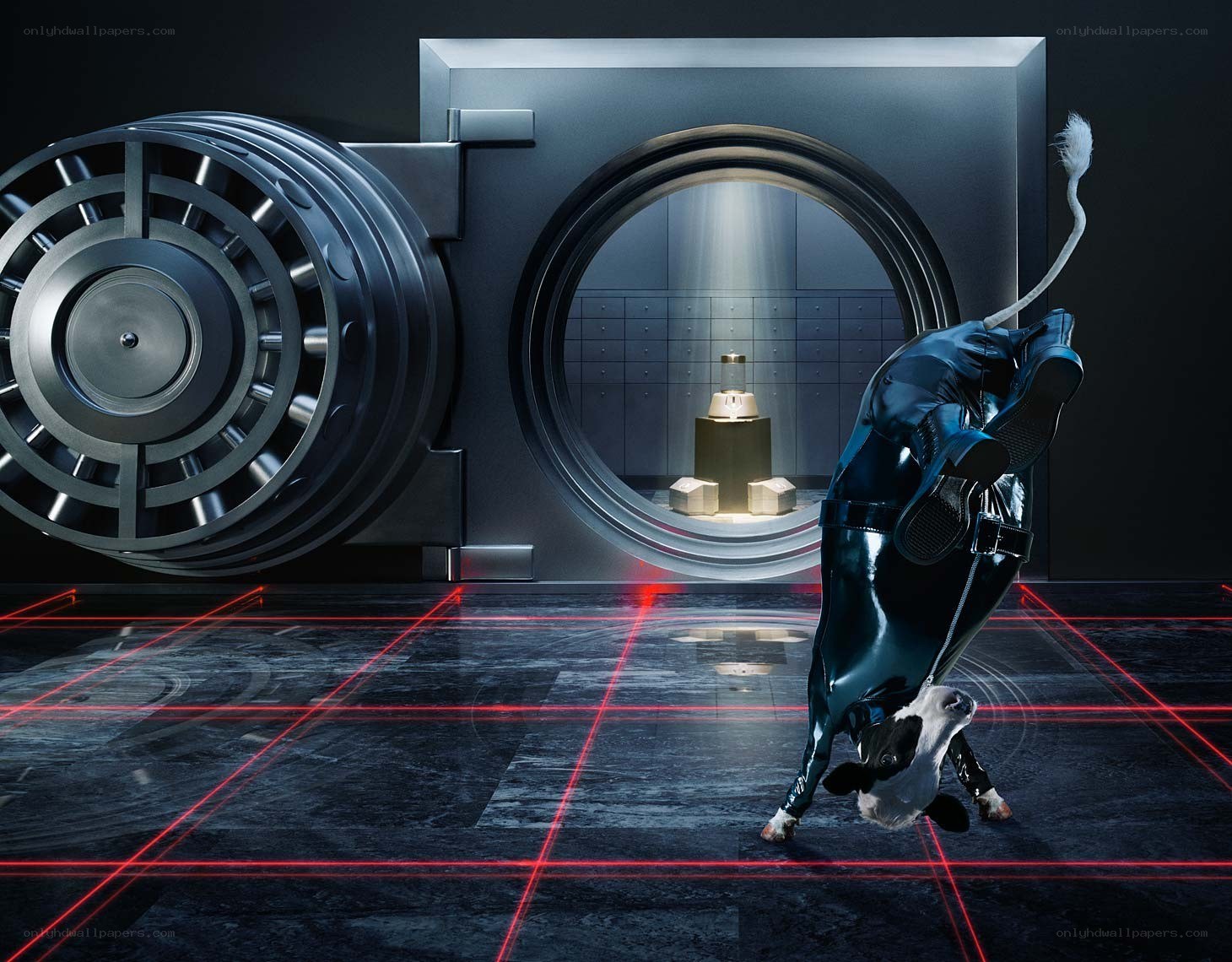 Cow in a vault