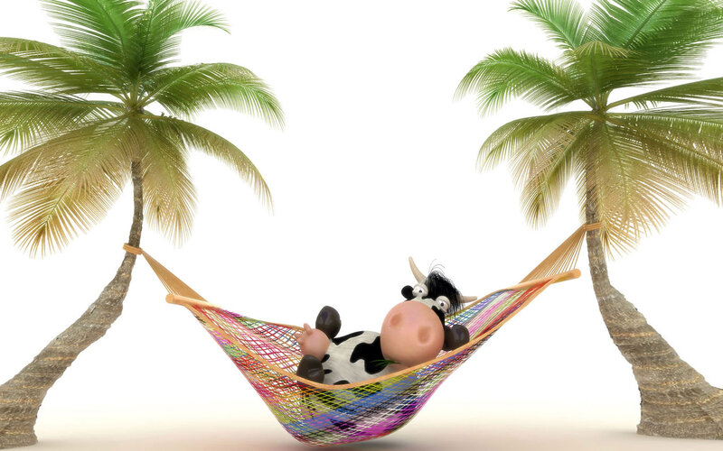 Cow in Hammock
