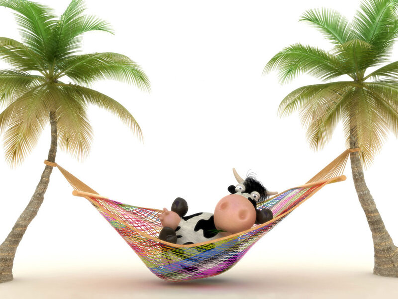 Cow in Hammock — White, Relaxed