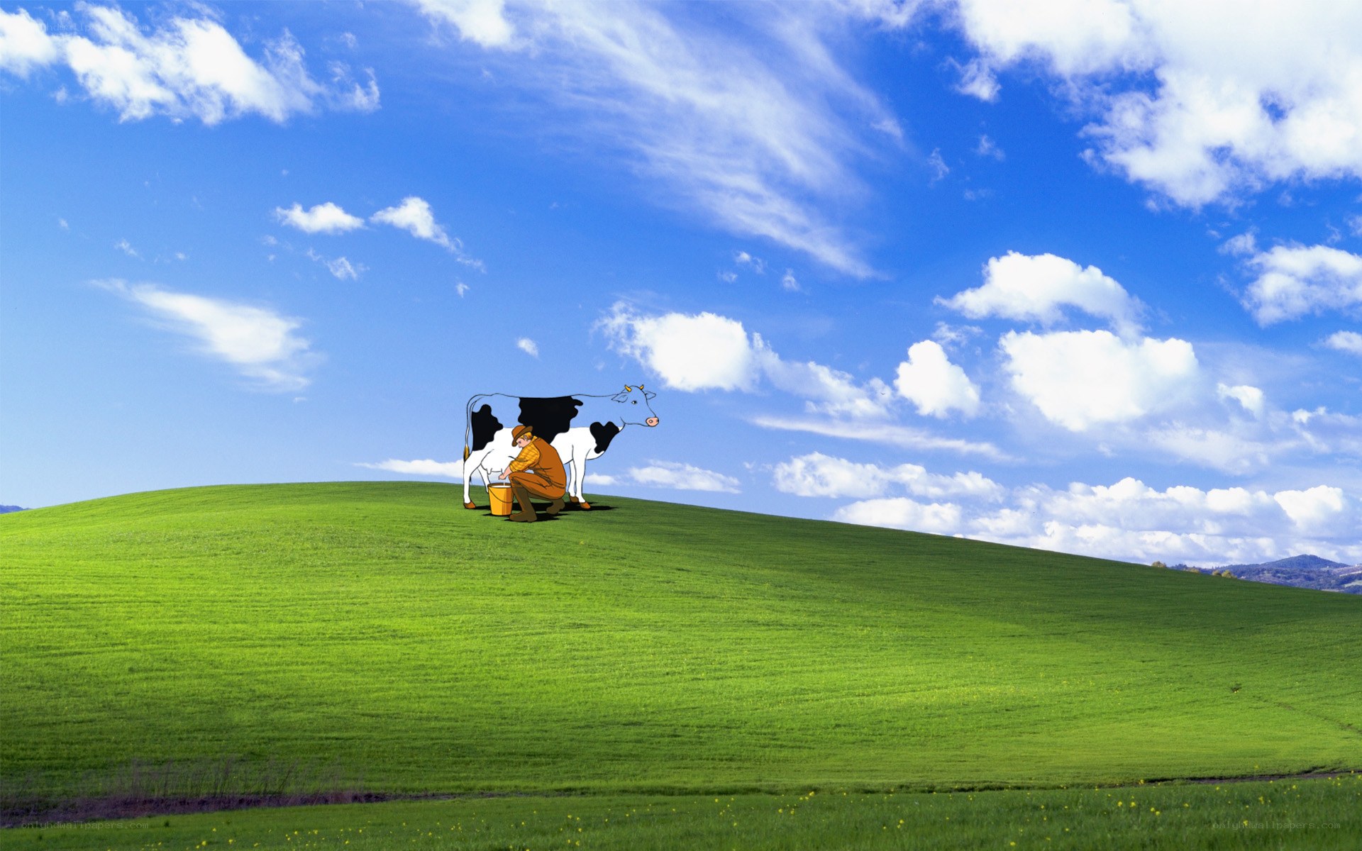 Cow on a green hill