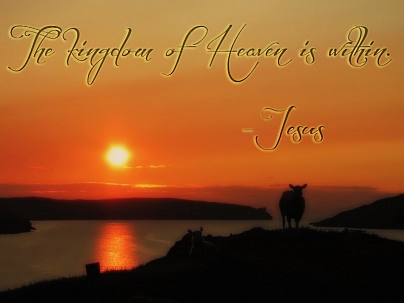 Cow on Hill at Sunset