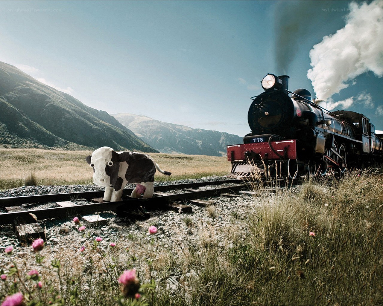 Cow on train tracks