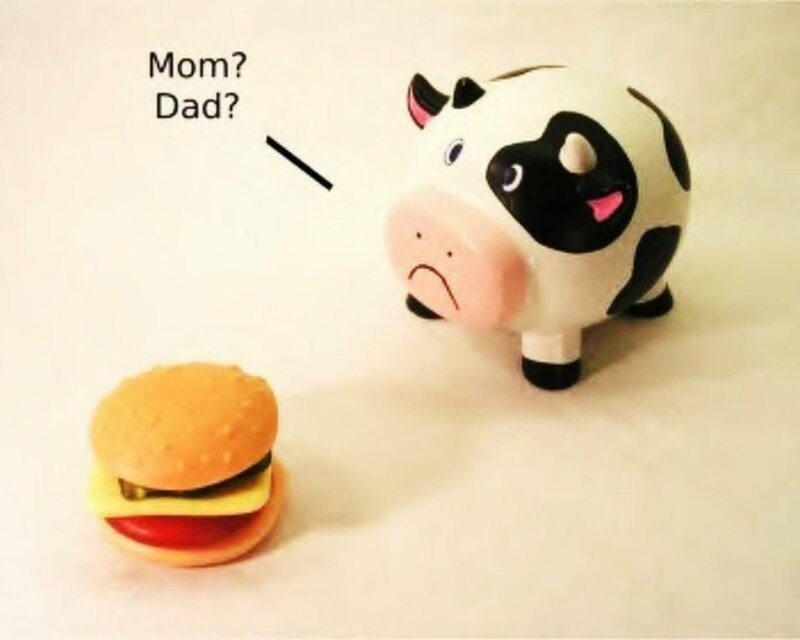 cow piggy bank with burger